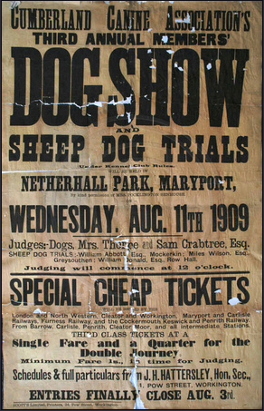 481601 422669941140636 196235244 n